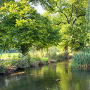 starlightstorage avatar