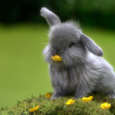 starlightsunss avatar