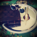 starling-dear avatar