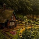 starlingcitygifs avatar