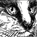 starlingpawceo avatar