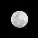 starlit-dreams avatar