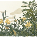 starlit-future avatar