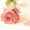 starlit-serenity avatar