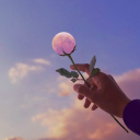 starlitmindofmine avatar