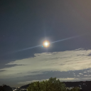 starlitmoonelle avatar