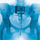 starlitspiders avatar