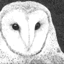 starmakesdoodles avatar