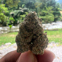 starnights-world avatar