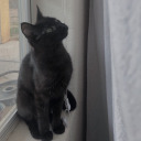 starrie-eyess avatar