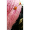 starrify-everything avatar