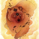 starry-bear avatar