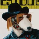 starry-beetle avatar