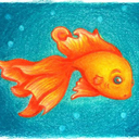 starry-eyed-wonder avatar