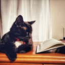 starry-eyedmoony avatar