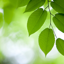 starry-night6 avatar