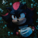 starry-primrose avatar