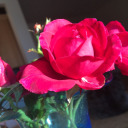 starry-skies-and-summer-nights avatar