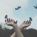 starryemberskinposting avatar