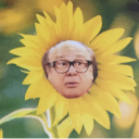 starryevening avatar