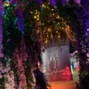 starryeyedbitchh avatar