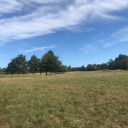 starrynight00 avatar