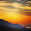 starrynighthomestead avatar