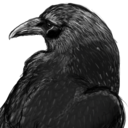 starrynightraven avatar