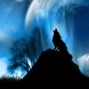 starrynights23 avatar