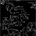 starrypsychotic avatar