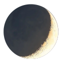 starryspeculation avatar