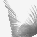 stars-1s-world avatar