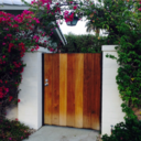 stars-above-luna avatar