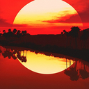 stars-and-nebulae avatar