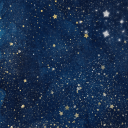 stars-as-sprinkles avatar