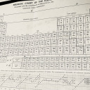 stars-hide-your-fires avatar