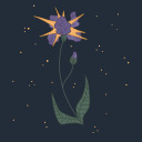 stars-irises avatar