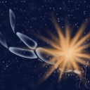 stars-of-my-eyes avatar