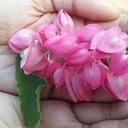 starsailororastronaut avatar