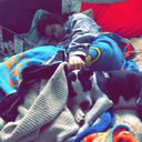 starsandcraps avatar