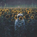 starsandmoonshine7 avatar