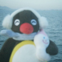 starseekerstar avatar