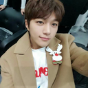 starsgotcaught avatar