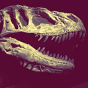 starship-humanity avatar