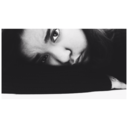 starsinourfault-blog avatar