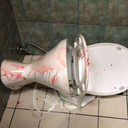 starsinyouremeraldeyes avatar