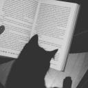 starsmacabray avatar