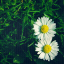 starsmakesmedream-blog avatar