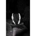 starsoldier077 avatar