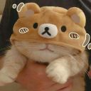 starsscribble avatar